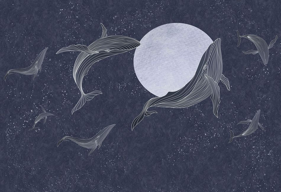 LIN02